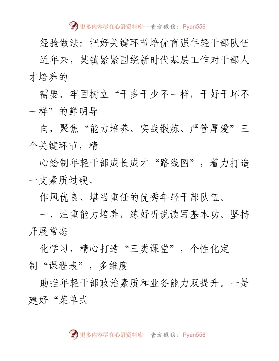 [工作总结] 干部人才培养 - 打造素质过硬的年轻干部队伍.docx_第1页