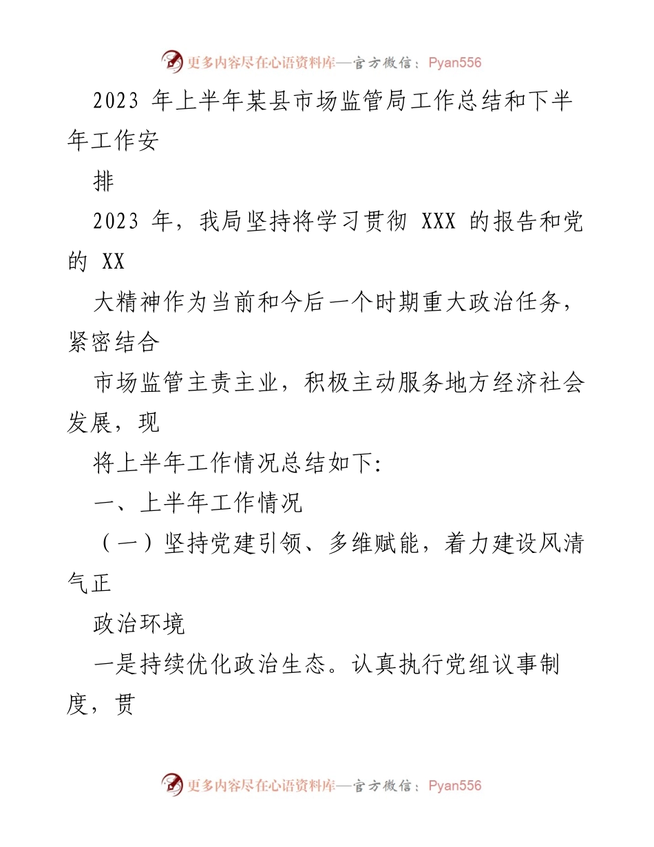 [工作总结] 市场监管局 - 2023年上半年工作总结与下半年工作安排.docx_第1页