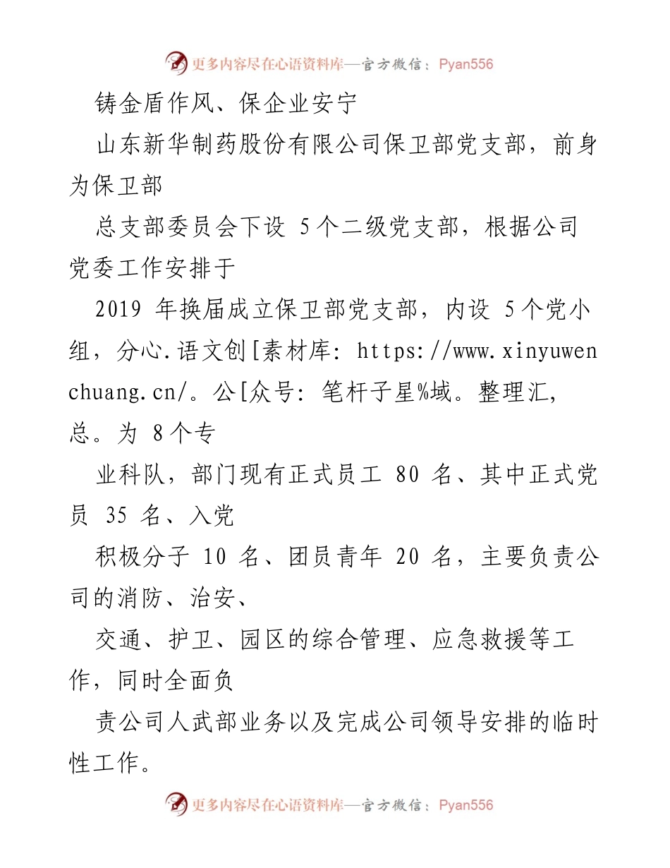[工作总结] 山东新华制药股份有限公司保卫部 - 铸金盾作风，守护企业安全.docx_第1页