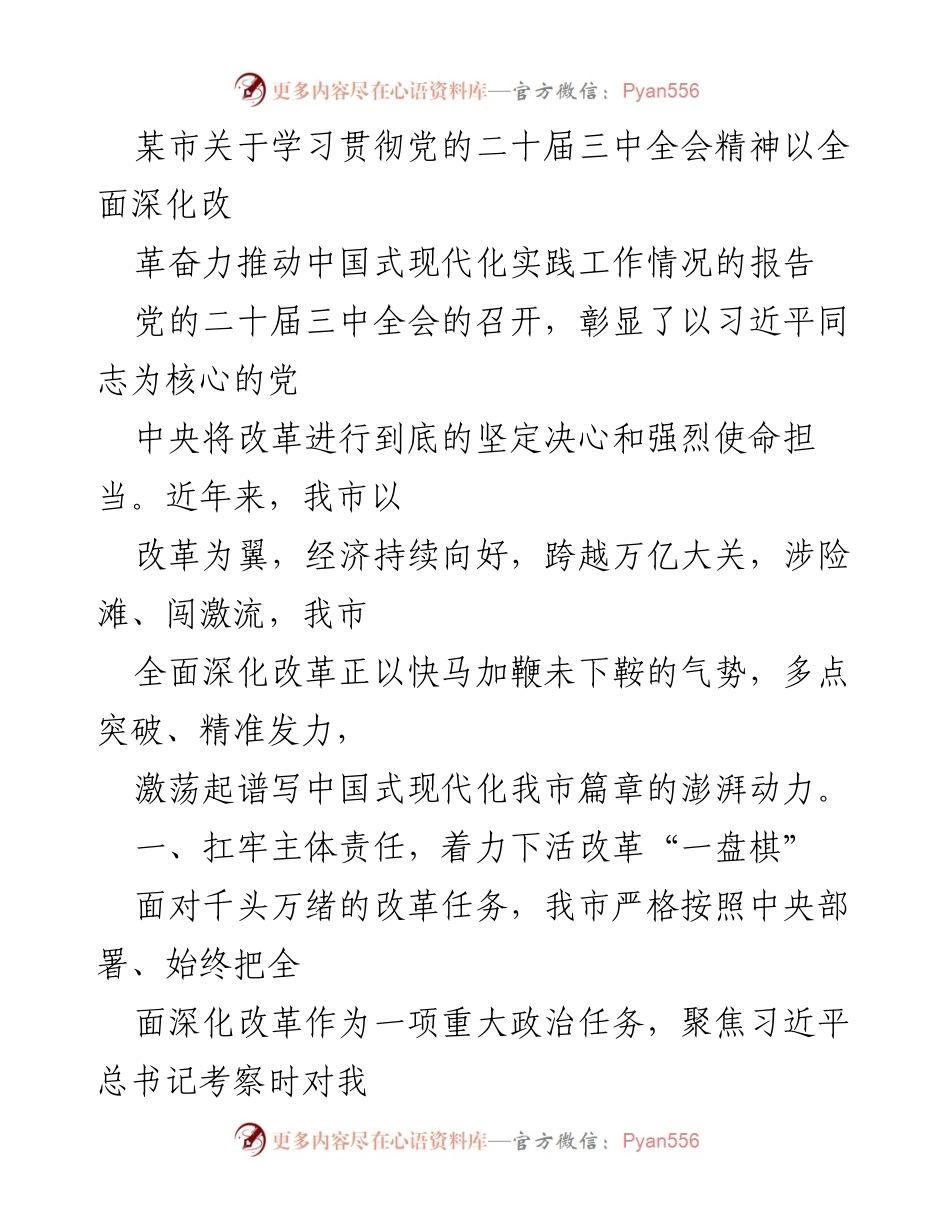 [工作总结] 市政府 - 学习贯彻党的二十届三中全会精神推动中国式现代化的工作情况报告.docx_第1页