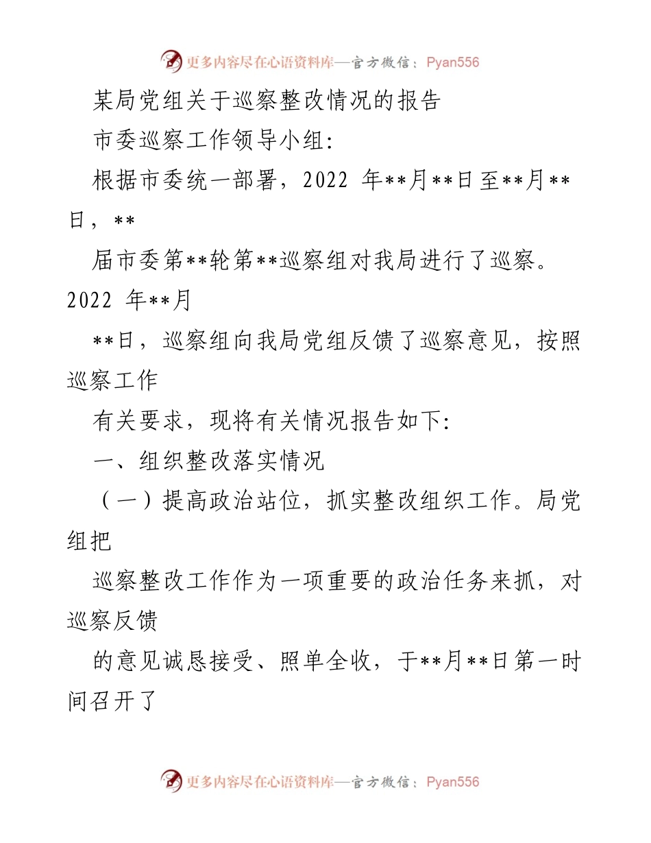 [工作总结] 巡察整改 - 某局巡察整改情况报告.docx_第1页