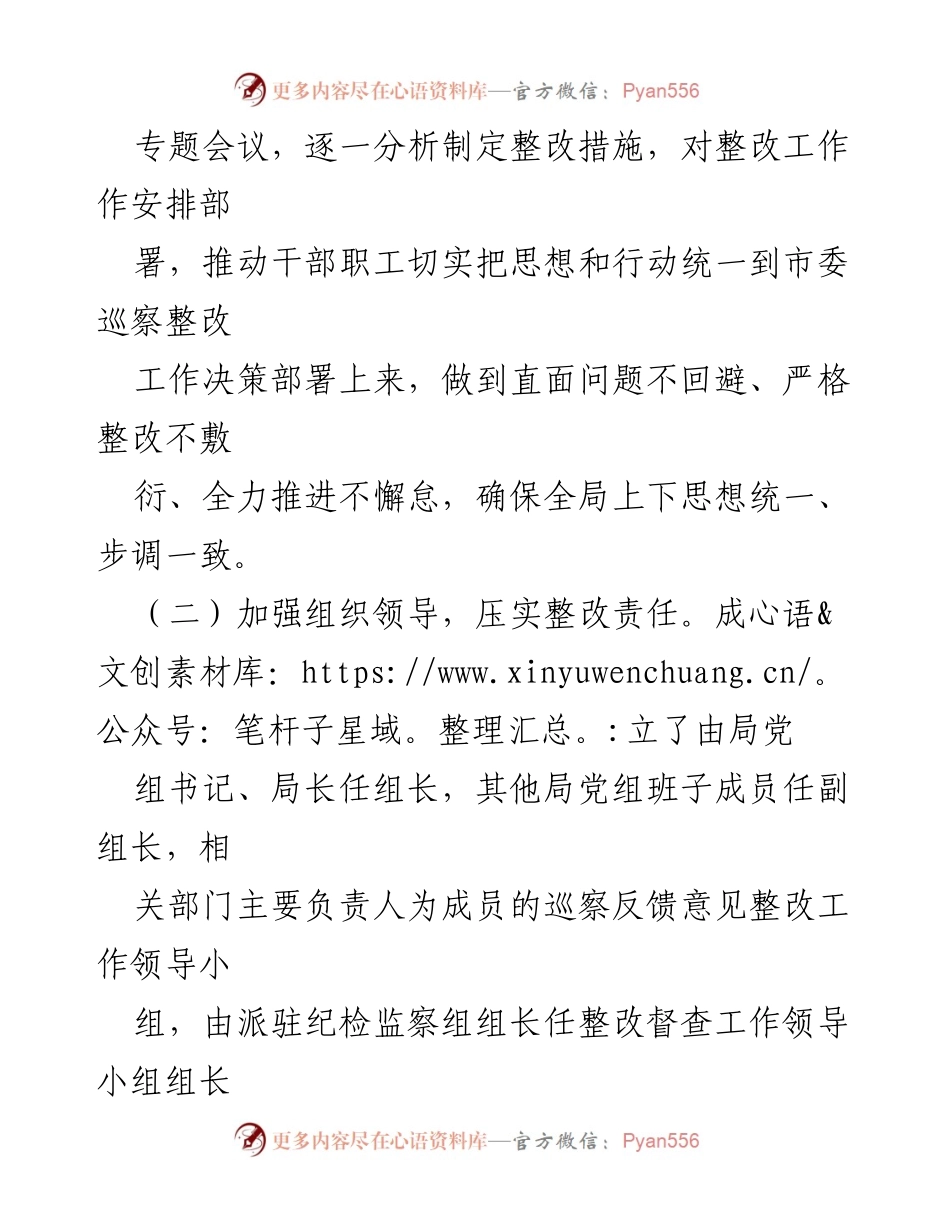 [工作总结] 巡察整改 - 某局巡察整改情况报告.docx_第2页