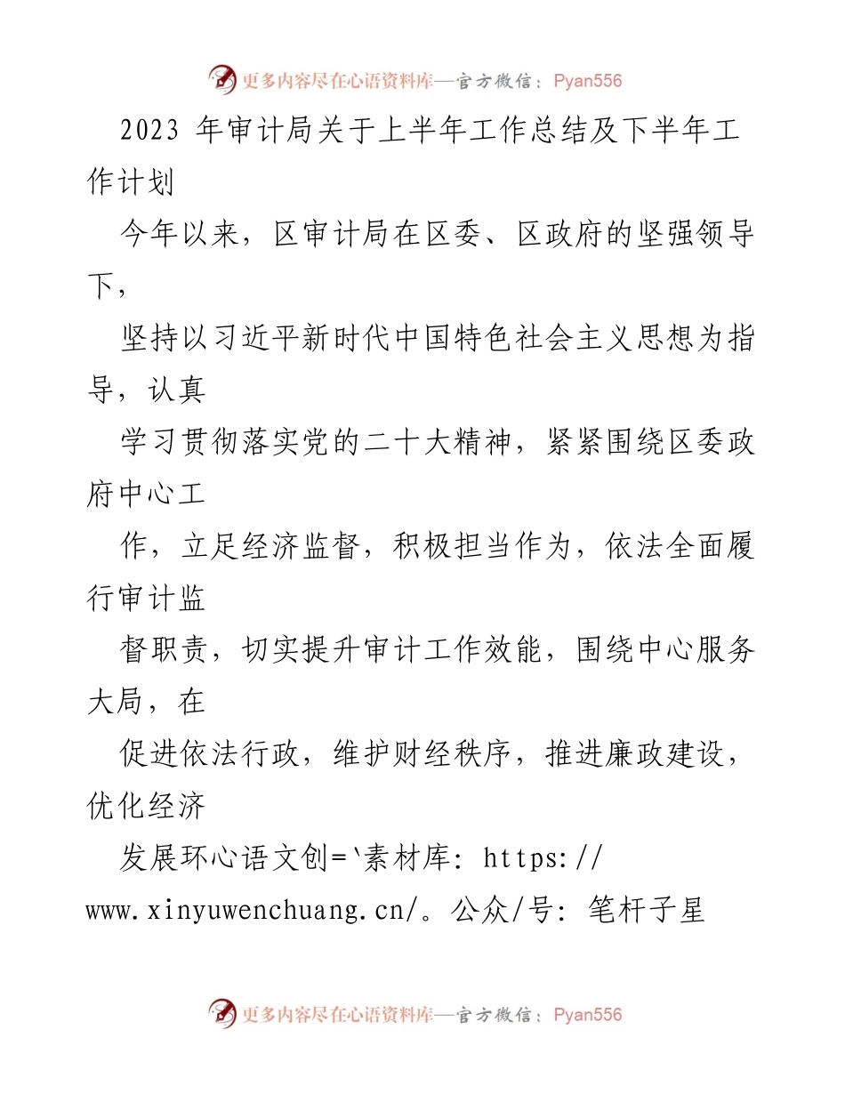 [工作总结] 审计局 - 2023年上半年工作总结及下半年工作计划.docx_第1页