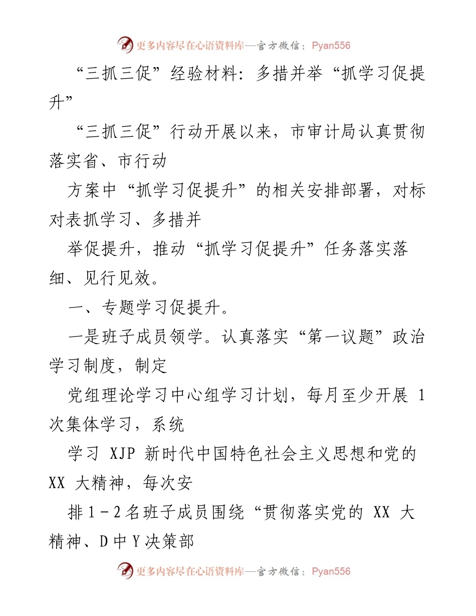 [工作总结] 市审计局 - “三抓三促”行动经验总结：多措并举提升学习和能力.docx_第1页
