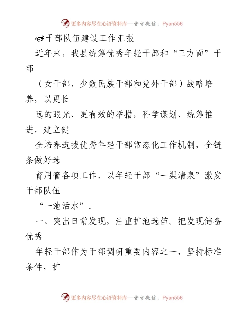 [工作总结] 干部队伍建设 - 优化年轻干部培养选拔机制的工作汇报.docx_第1页