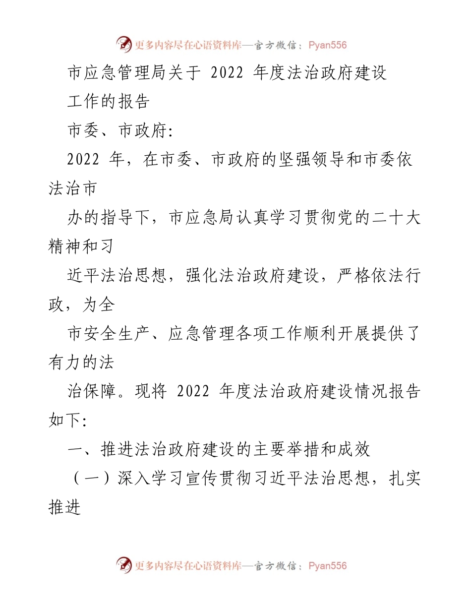 [工作总结] 市应急管理局 - 2022年度法治政府建设工作报告.docx_第1页