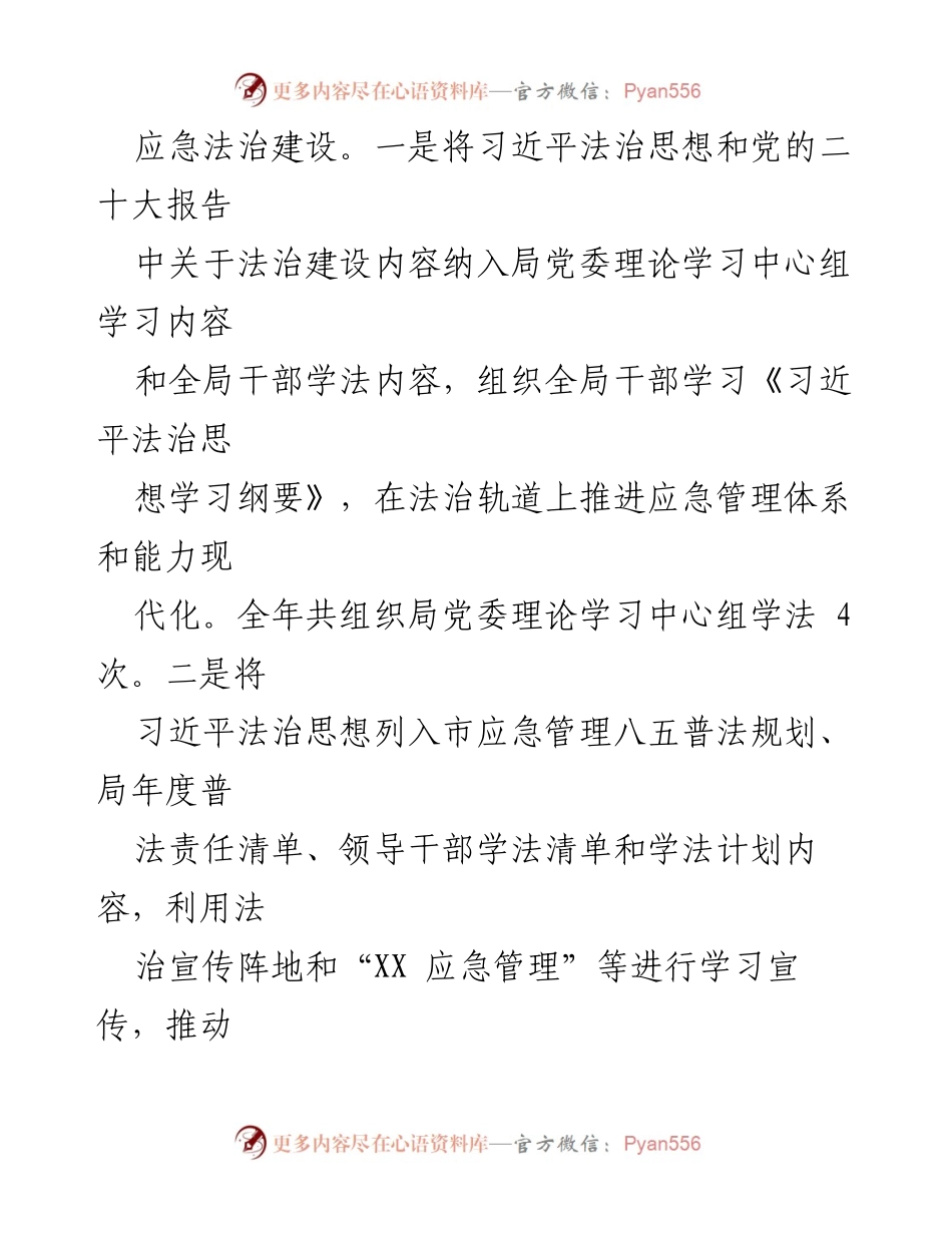 [工作总结] 市应急管理局 - 2022年度法治政府建设工作报告.docx_第2页