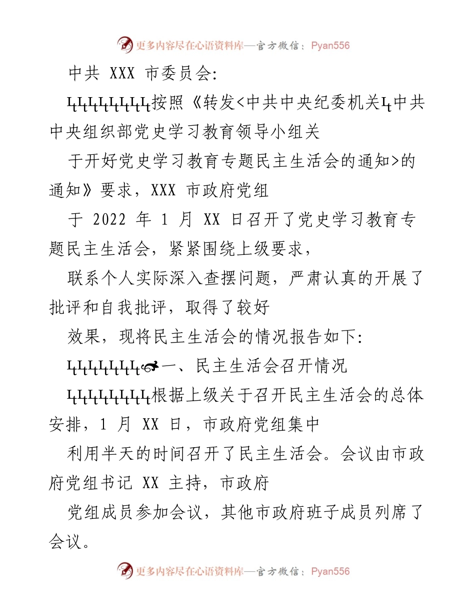 [工作总结] 市政府党组 - 党史学习教育专题民主生活会总结报告.docx_第1页