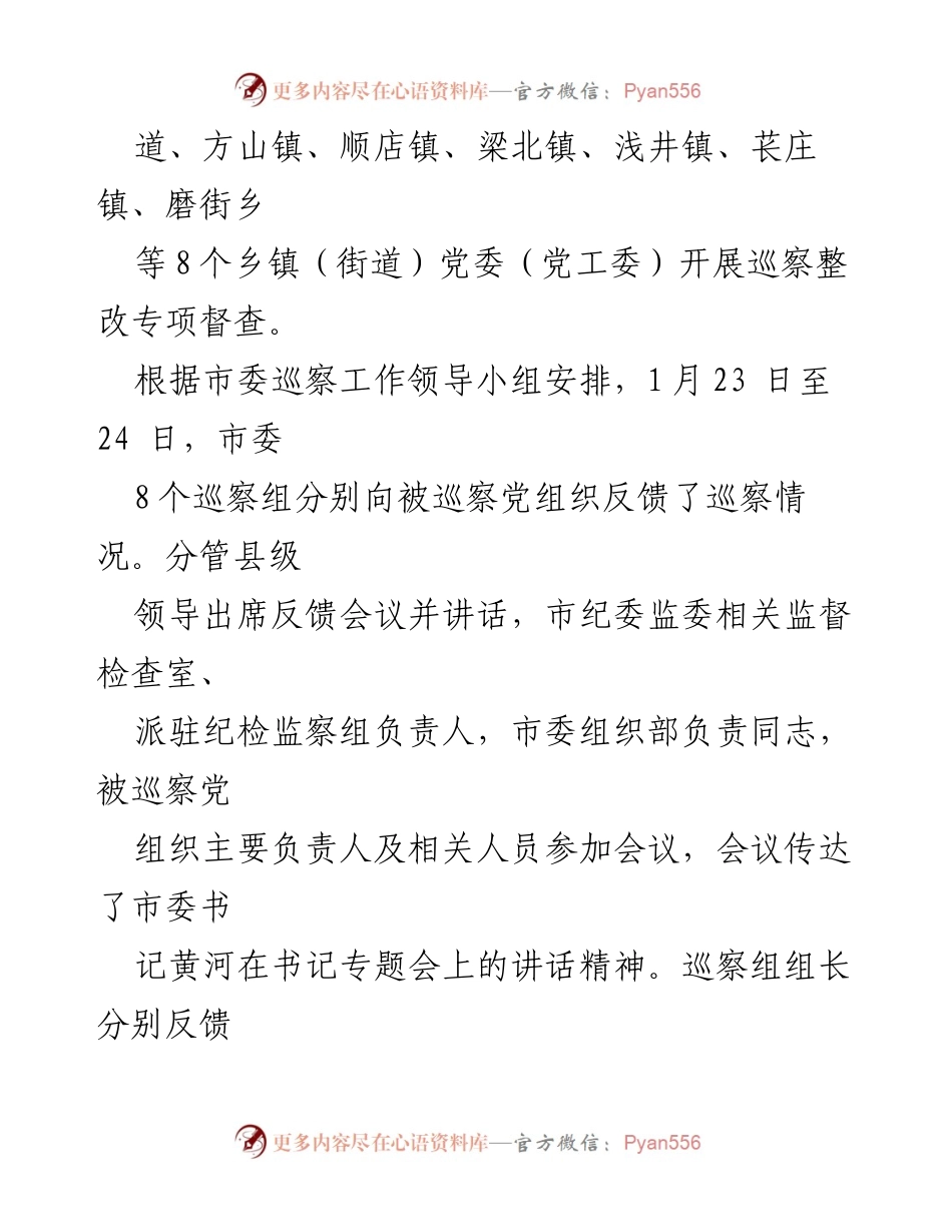 [工作总结] 巡察反馈 - XX市第七轮巡察反馈情况总结.docx_第2页