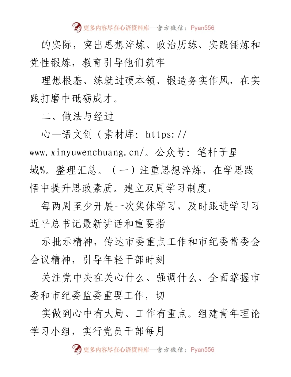 [工作总结] 市纪委监委 - 党建工作品牌创建与年轻干部培养汇报.docx_第2页