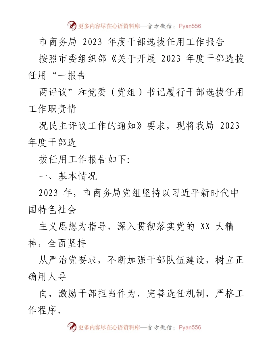 [工作总结] 市商务局 - 2023年度干部选拔任用工作总结报告.docx_第1页
