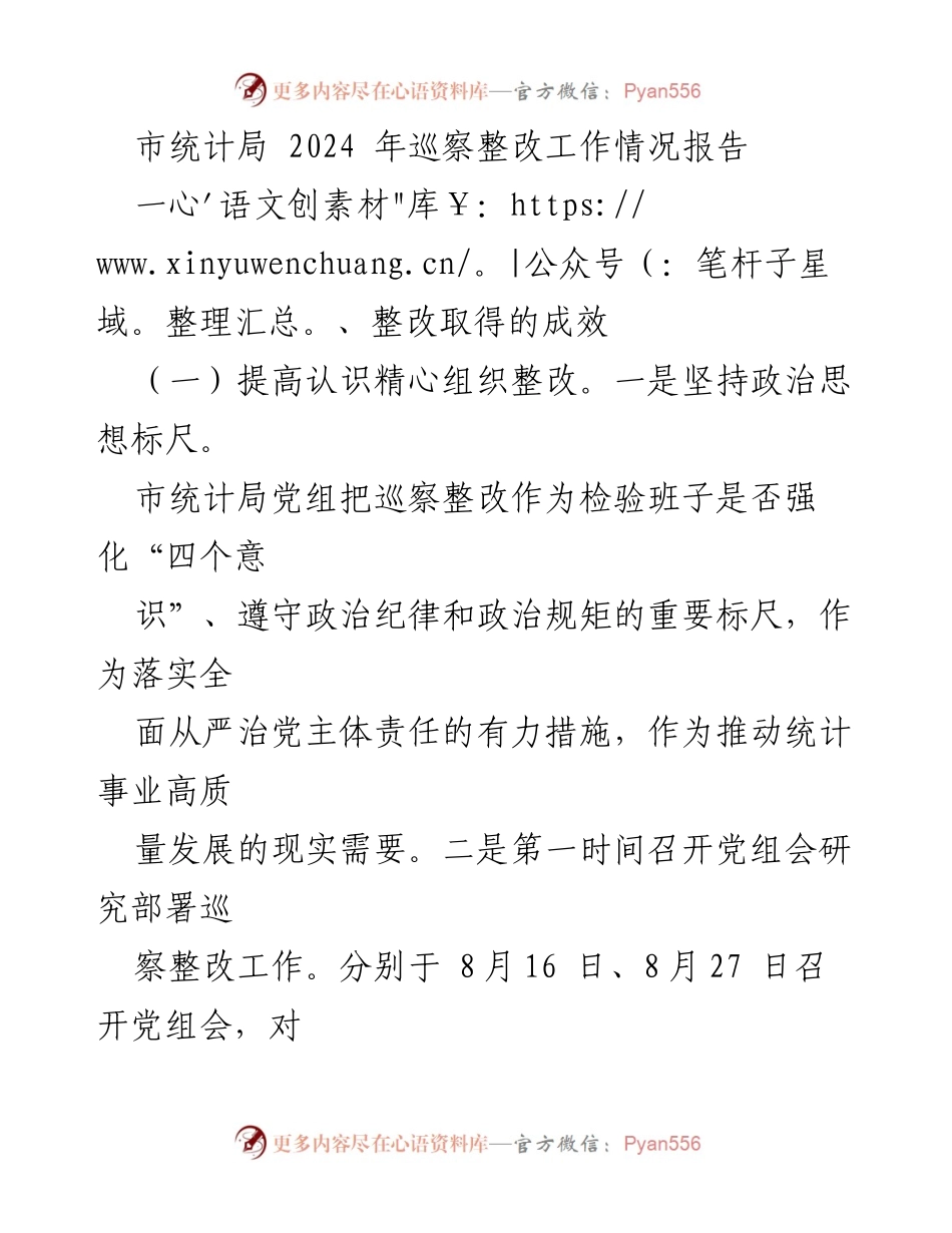 [工作总结] 市统计局 - 2024年巡察整改工作情况报告.docx_第1页
