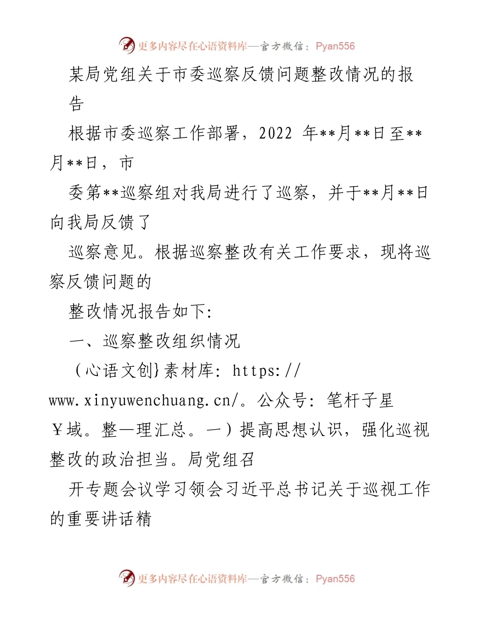 [工作总结] 巡察整改 - 某局市委巡察反馈问题整改情况报告.docx_第1页