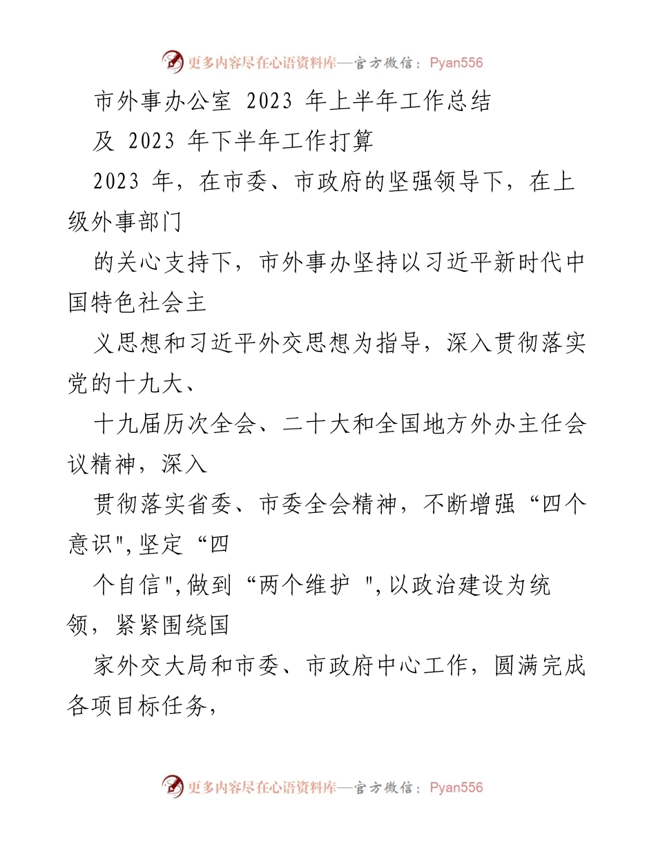 [工作总结] 市外事办公室 - 2023年上半年工作总结及下半年工作打算.docx_第1页