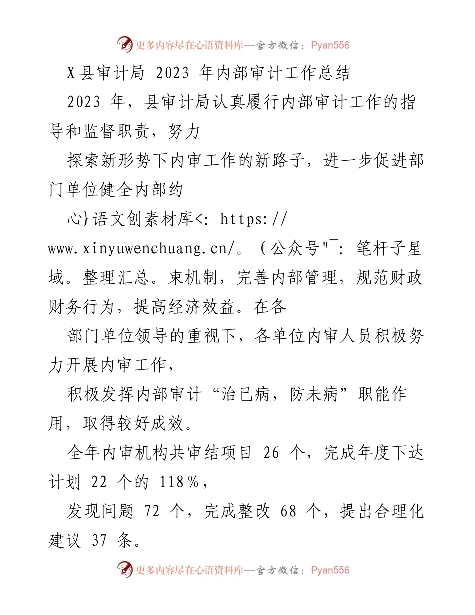 [工作总结] 审计局 - 2023年内部审计工作总结报告.docx_第1页