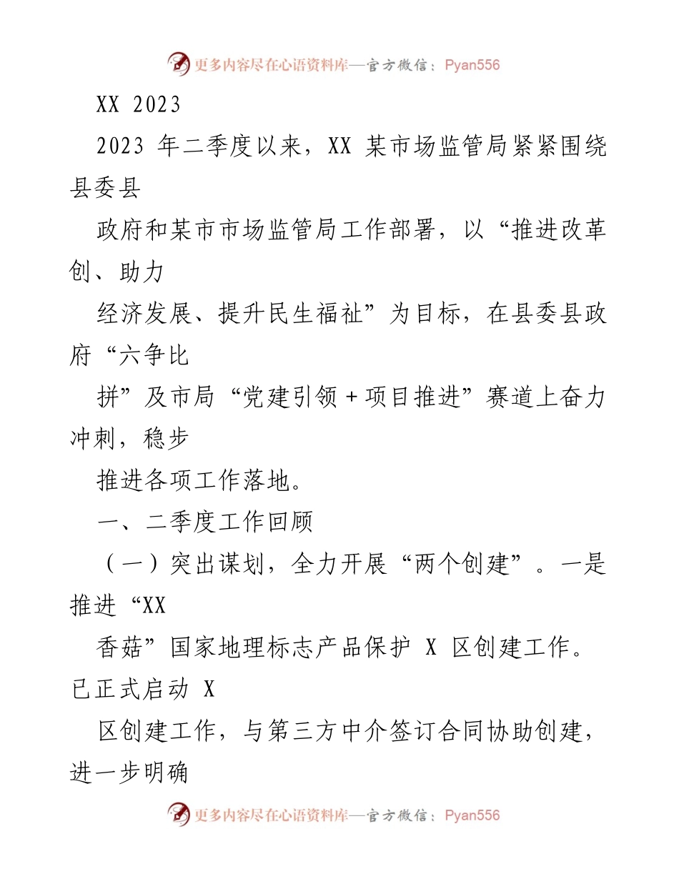 [工作总结] 市场监管局 - 2023年二季度市场监管工作回顾与营商环境优化报告.docx_第1页