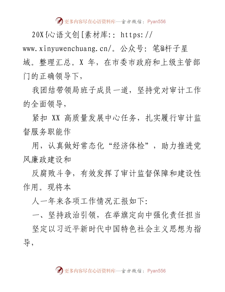 [工作总结] 年度审计工作 - 202X年度审计工作总结与成效汇报.docx_第1页