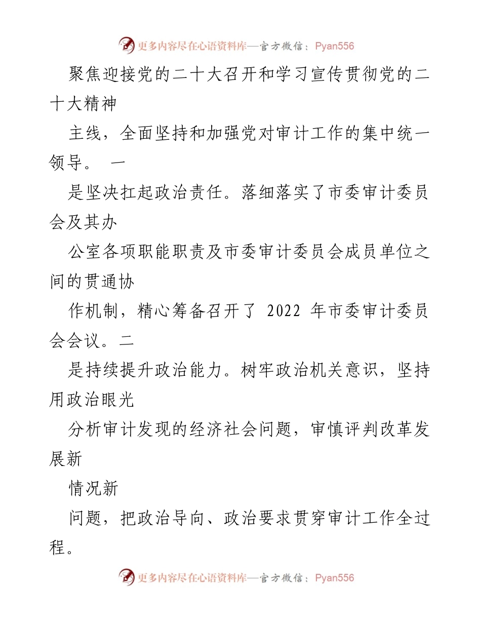 [工作总结] 年度审计工作 - 202X年度审计工作总结与成效汇报.docx_第2页