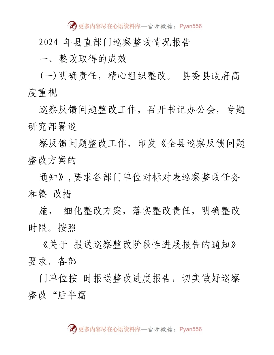 [工作总结] 巡察整改 - 2024年县直部门巡察整改情况总结报告.docx_第1页