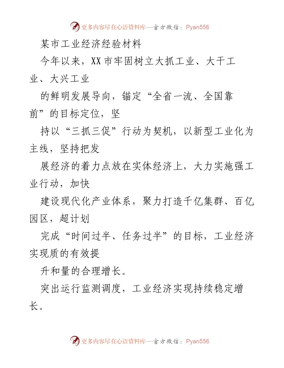 [工作总结] 工业经济发展 - XX市工业经济发展经验总结报告_1.docx_第1页