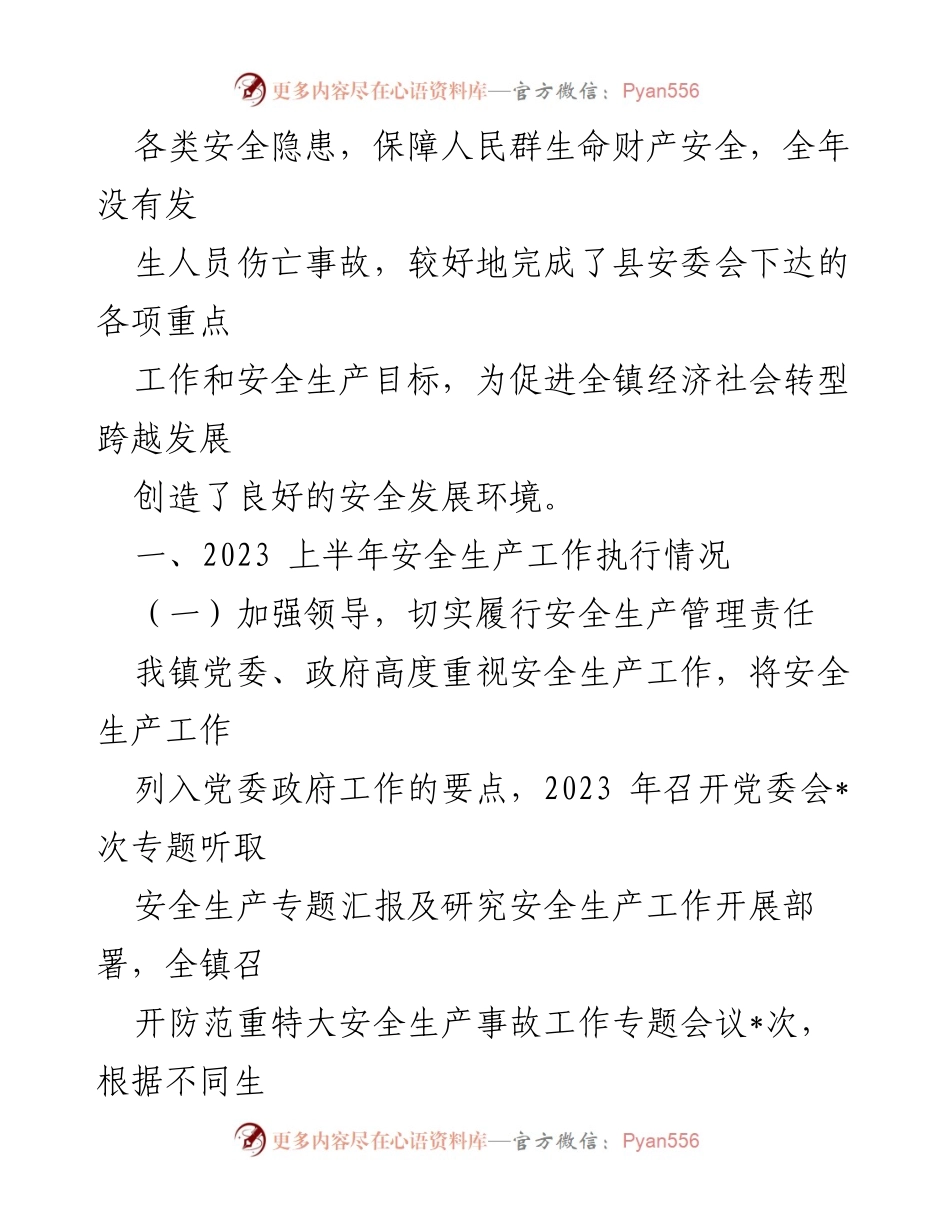 [工作总结] 安全生产 - 2023年某镇安全生产工作总结_1.docx_第2页