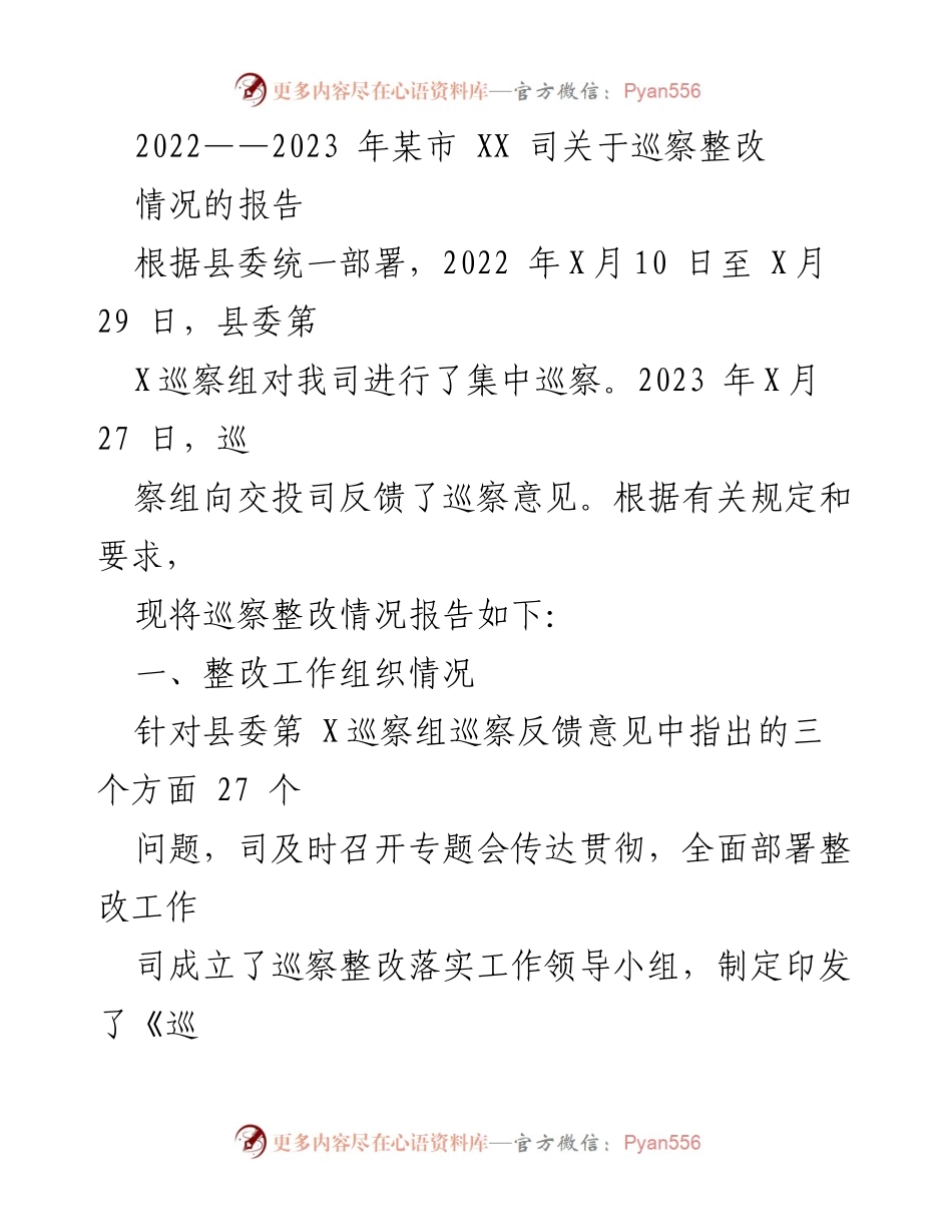 [工作总结] 巡察整改 - 某市XX司巡察整改情况报告（2022-2023）.docx_第1页