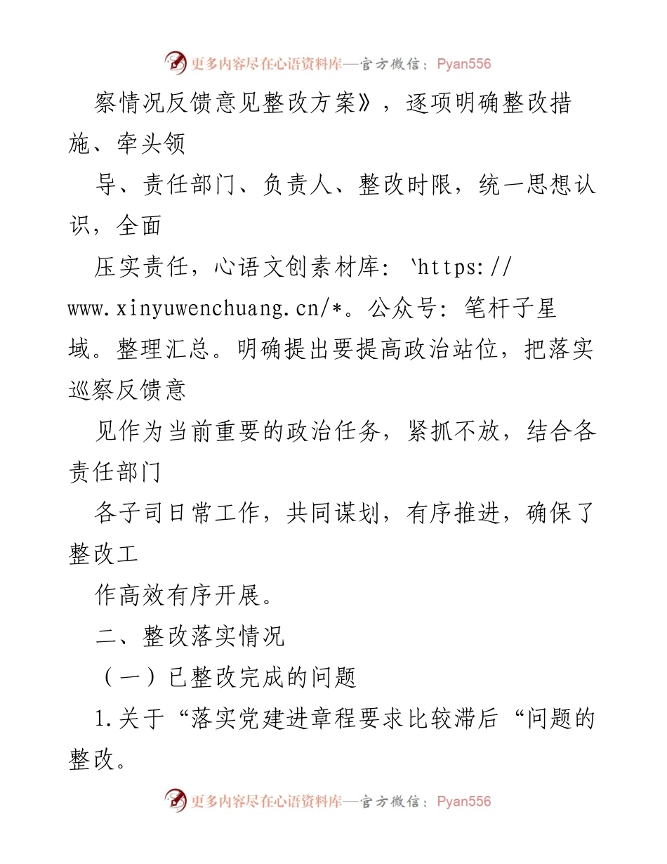 [工作总结] 巡察整改 - 某市XX司巡察整改情况报告（2022-2023）.docx_第2页