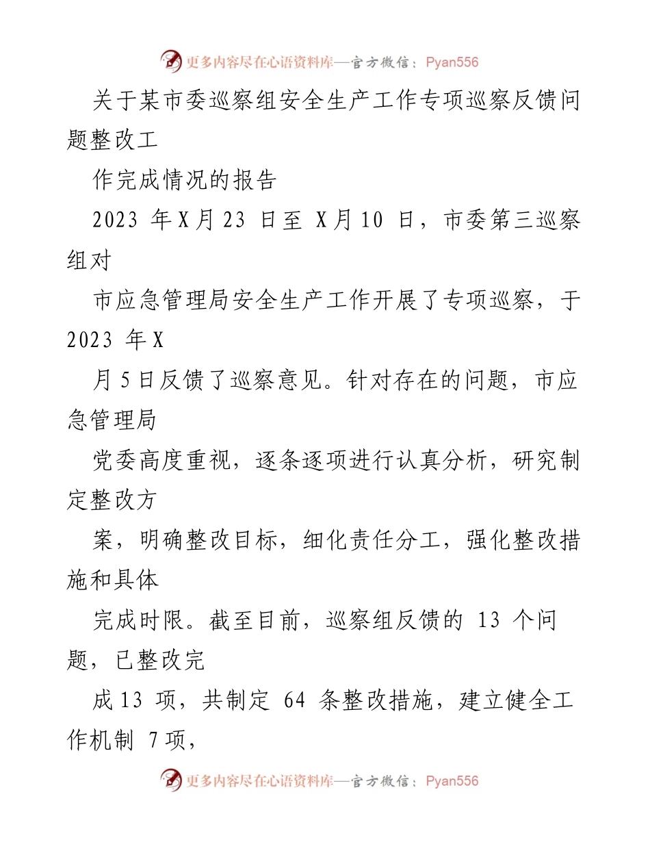 [工作总结] 巡察整改 - 市应急管理局安全生产专项巡察整改工作完成情况报告.docx_第1页