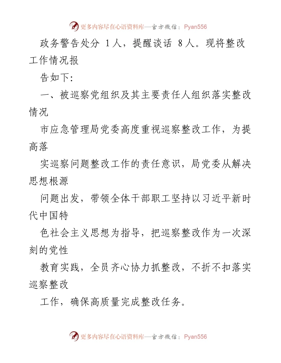 [工作总结] 巡察整改 - 市应急管理局安全生产专项巡察整改工作完成情况报告.docx_第2页