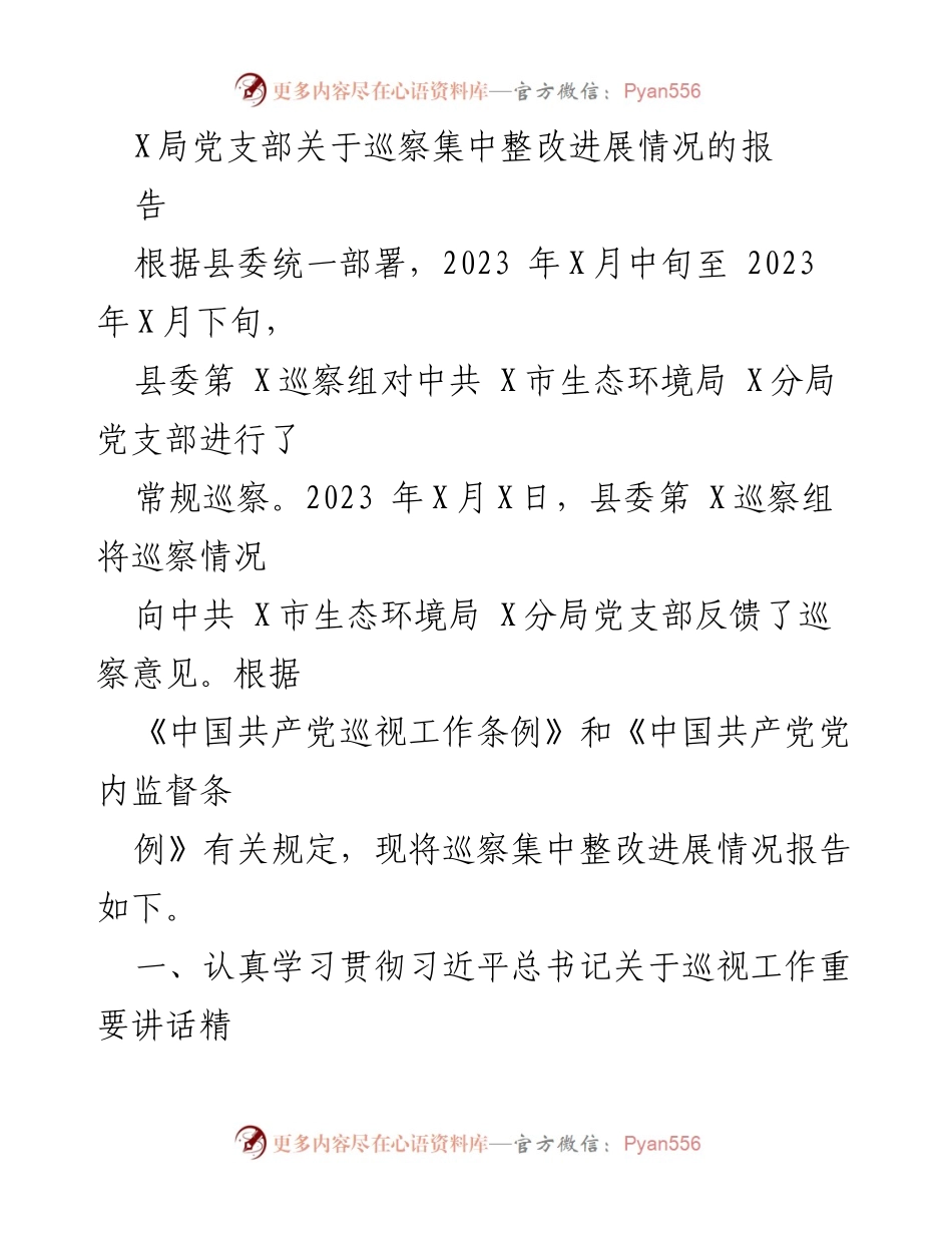 [工作总结] 巡察整改 - X局党支部巡察集中整改进展情况报告.docx_第1页