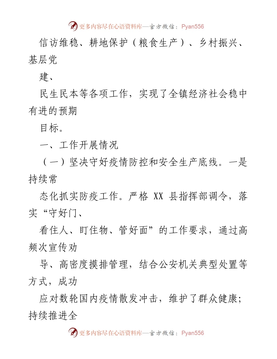 [工作总结] 年度总结 - XX 镇 2022 年工作总结与成效分析.docx_第2页