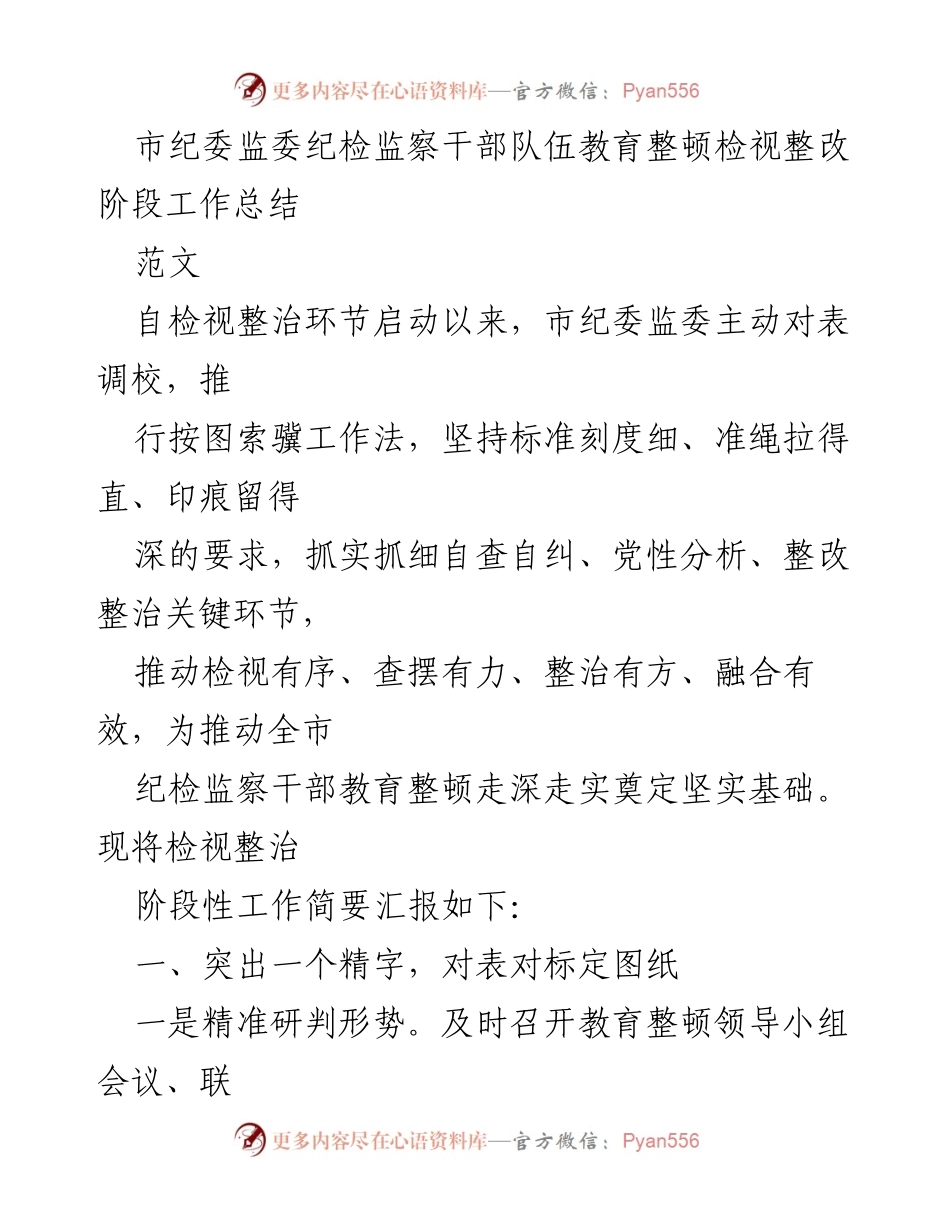 [工作总结] 市纪委监委 - 纪检监察干部教育整顿检视整改阶段工作总结_1.docx_第1页