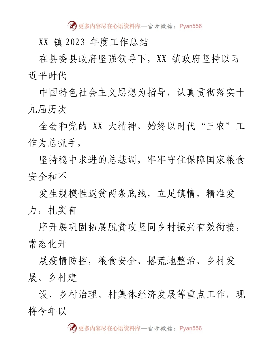[工作总结] 年度总结 - XX 镇2023年度工作总结与发展回顾.docx_第1页