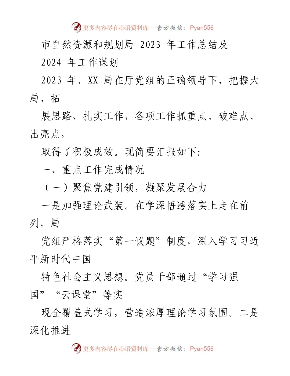 [工作总结] 市自然资源和规划局 - 2023年工作总结及2024年工作谋划.docx_第1页