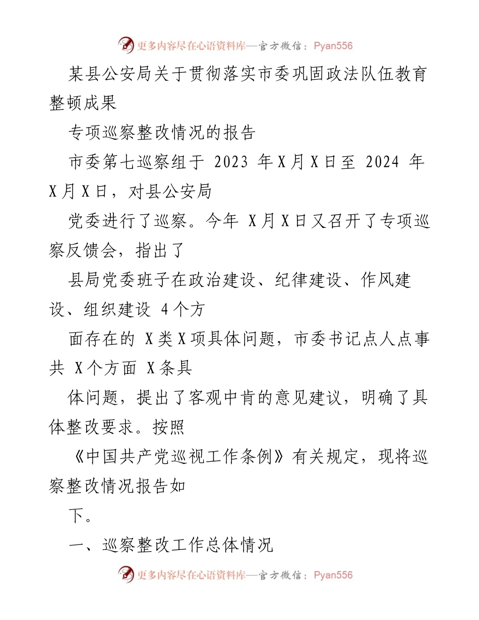 [工作总结] 巡察整改 - 某县公安局巡察整改情况报告.docx_第1页
