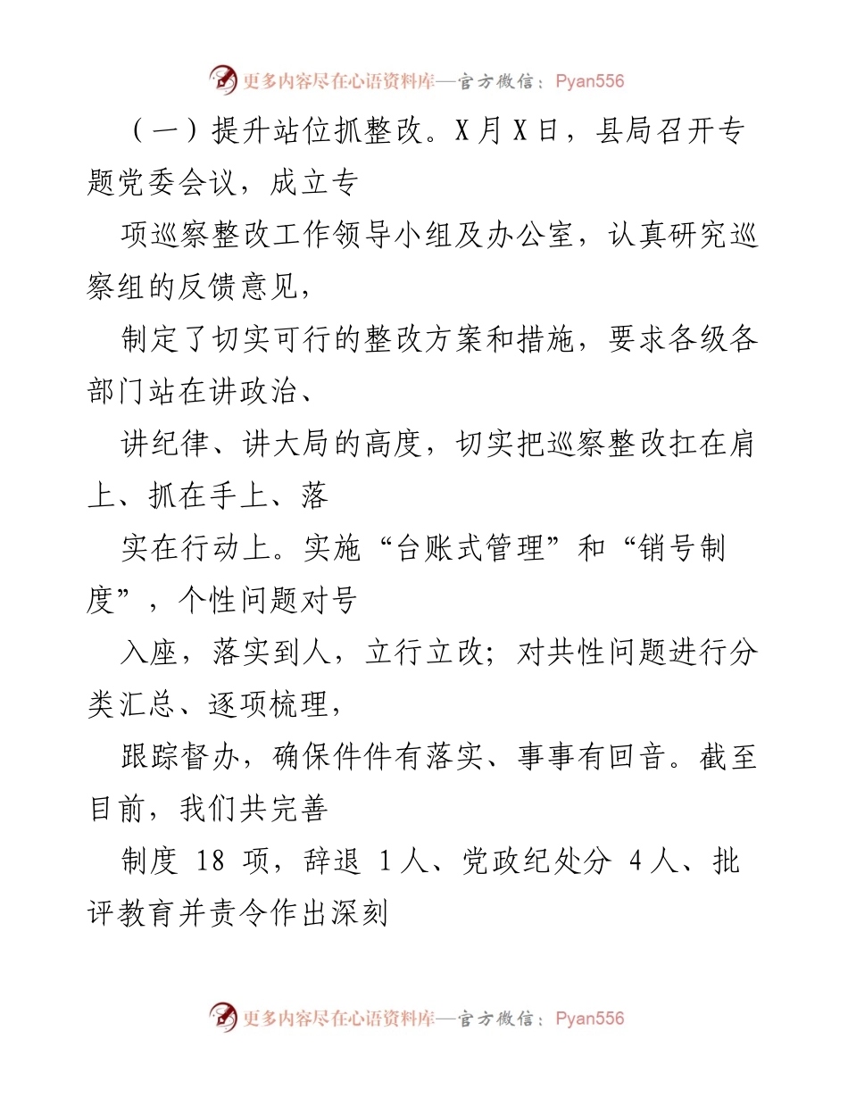 [工作总结] 巡察整改 - 某县公安局巡察整改情况报告.docx_第2页