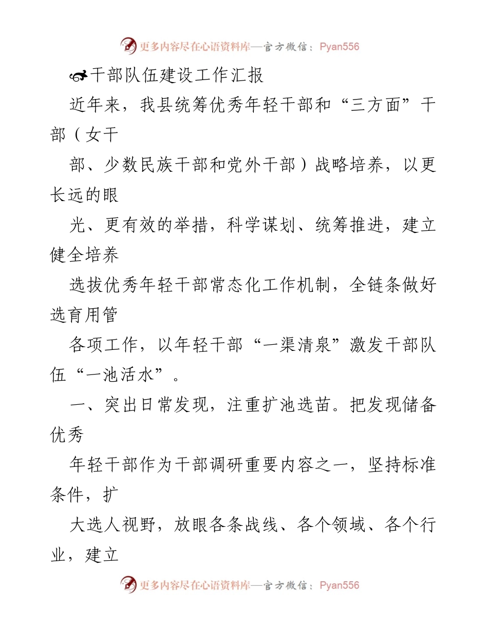 [工作总结] 干部队伍建设 - 年轻干部培养机制的创新与实践.docx_第1页