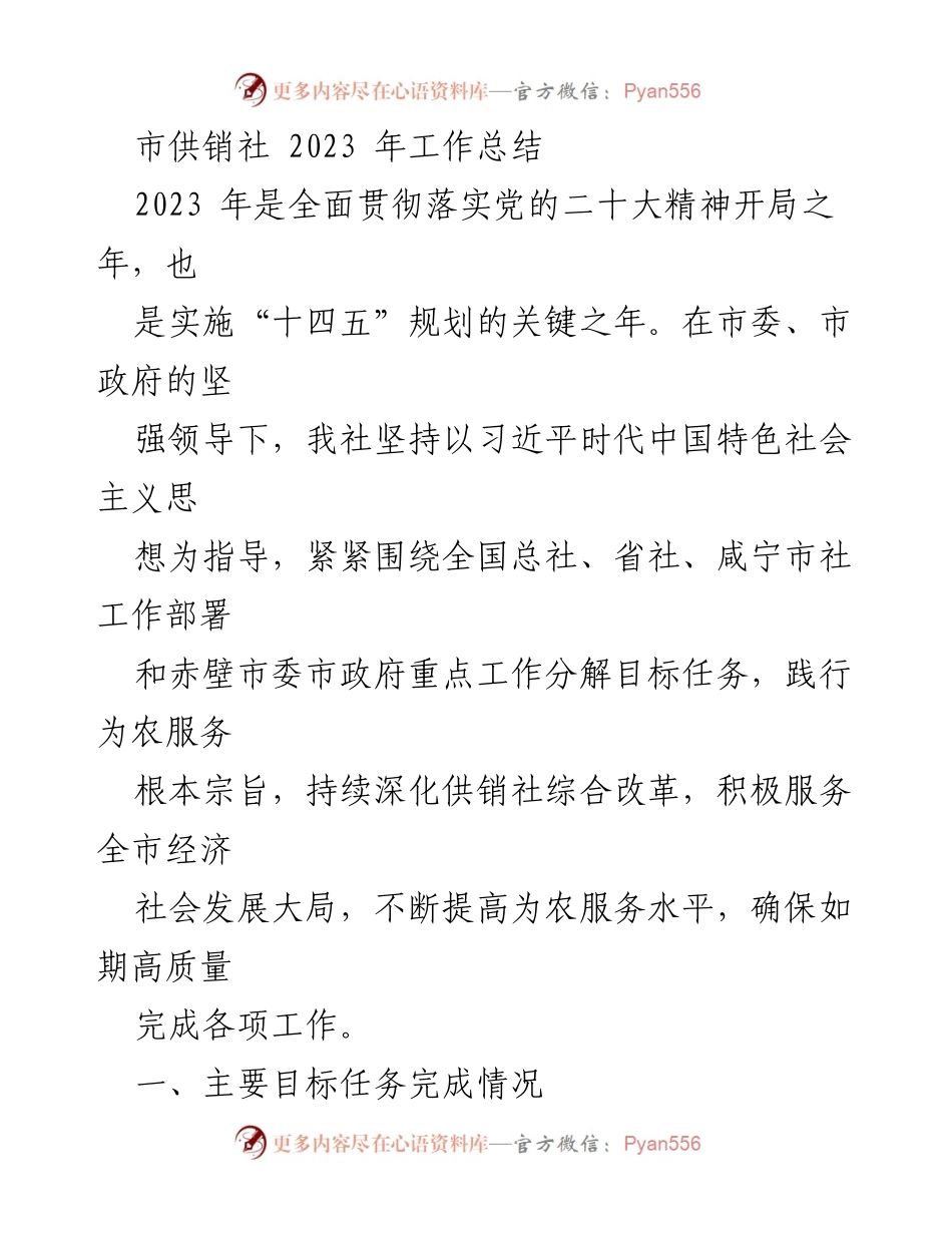[工作总结] 市供销社 - 2023年度工作总结与党建推进情况.docx_第1页