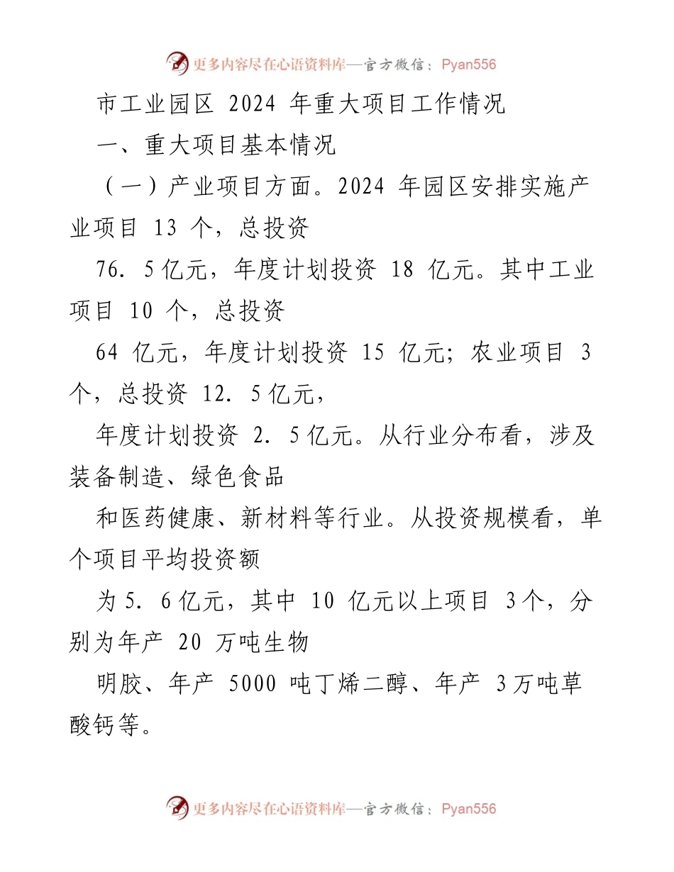 [工作总结] 市工业园区 - 2024年重大项目工作情况及存在问题分析.docx_第1页