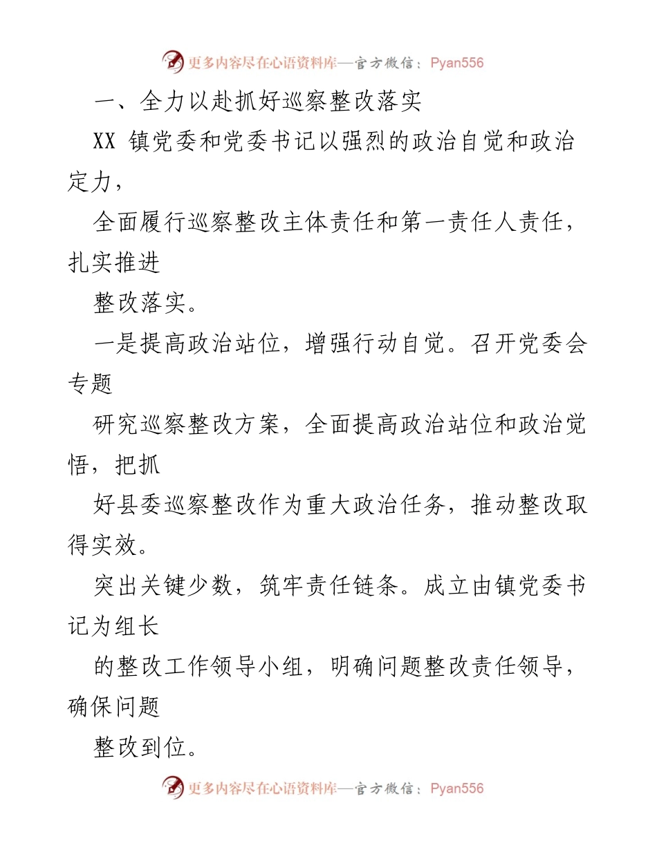 [工作总结] 巡察整改 - XX镇党委巡察整改进展情况报告.docx_第2页