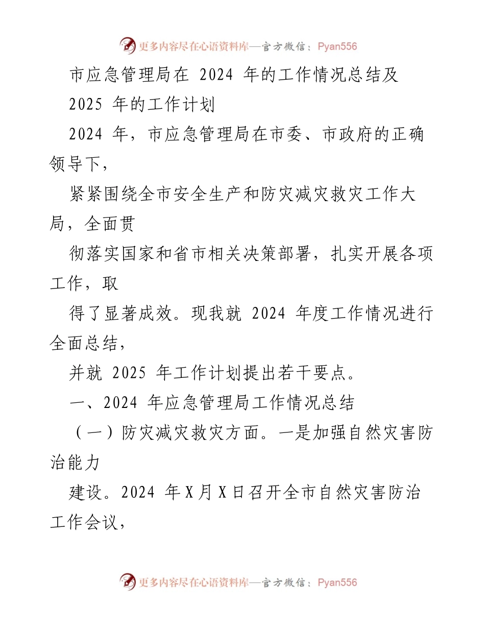 [工作总结] 市应急管理局 - 2024年工作总结及2025年工作计划概述.docx_第1页