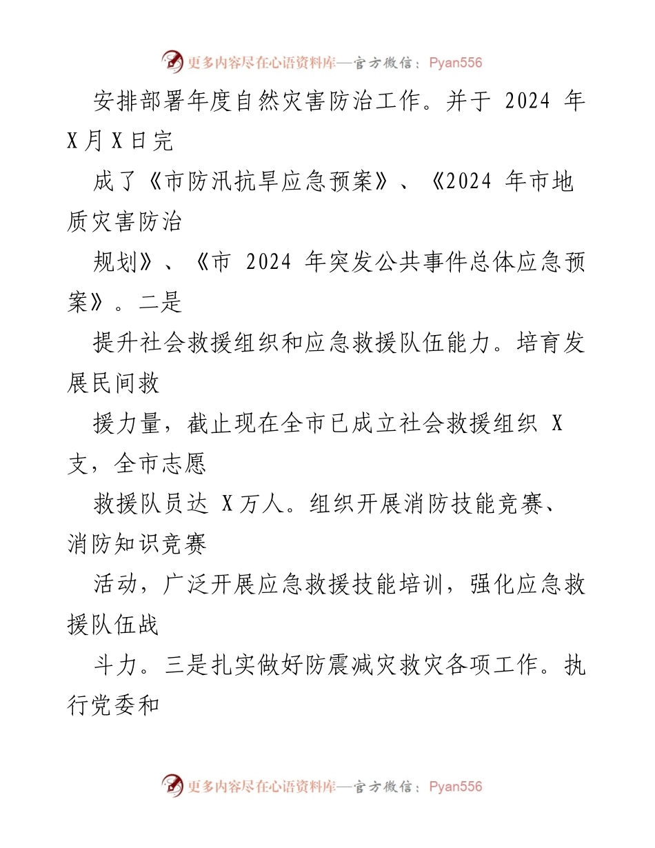 [工作总结] 市应急管理局 - 2024年工作总结及2025年工作计划概述.docx_第2页