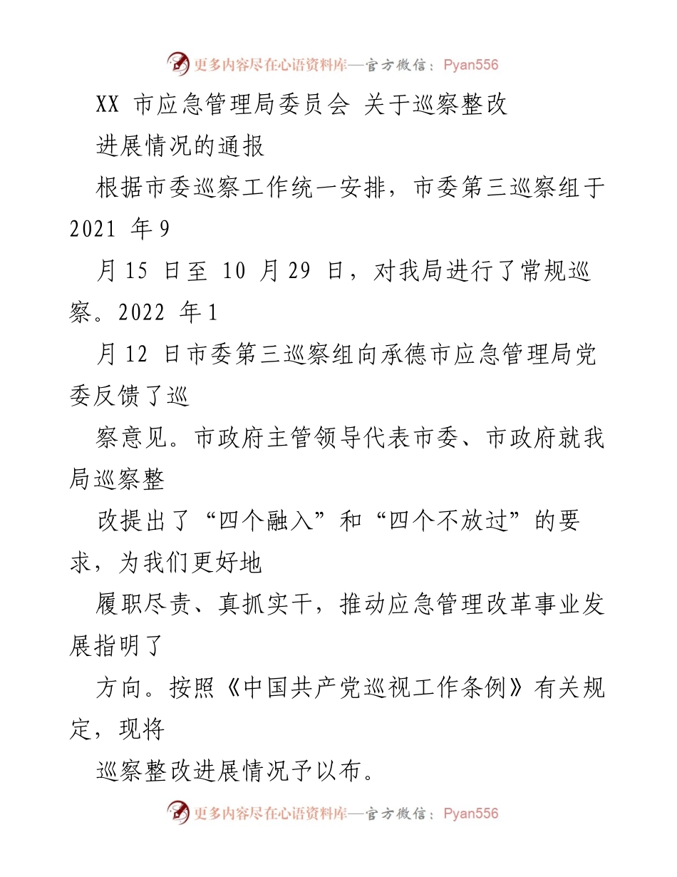 [工作总结] 巡察整改 - XX市应急管理局巡察整改进展情况通报.docx_第1页
