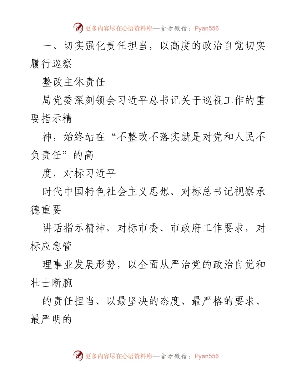 [工作总结] 巡察整改 - XX市应急管理局巡察整改进展情况通报.docx_第2页