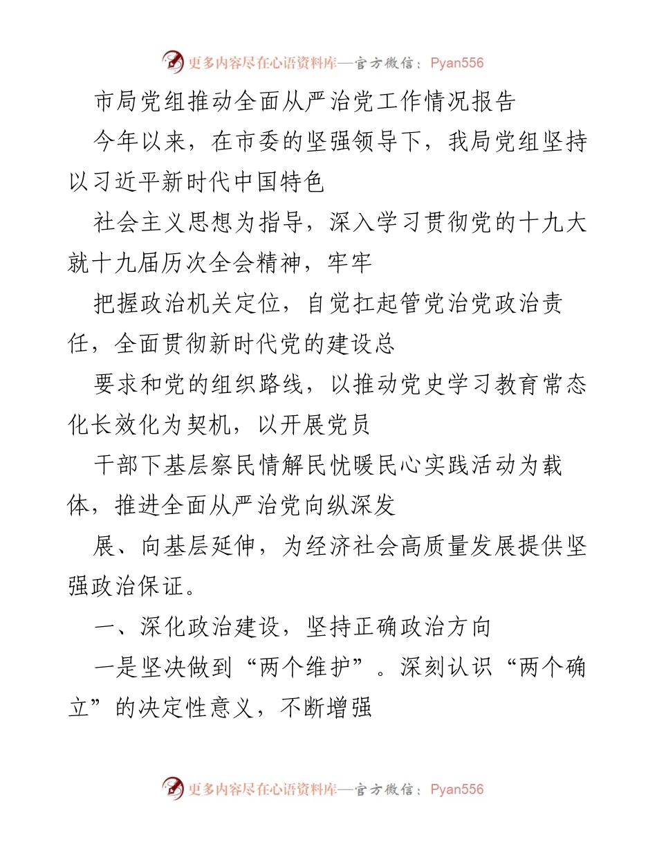 [工作总结] 市局党组 - 推动全面从严治党工作情况报告.docx_第1页
