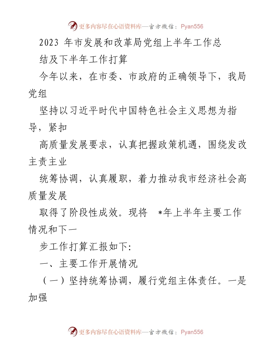 [工作总结] 市发展和改革局 - 2023年上半年工作总结及下半年工作计划.docx_第1页