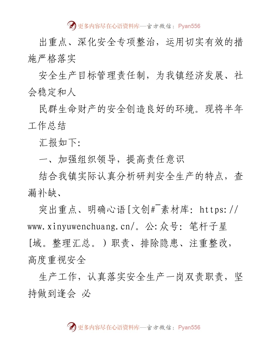 [工作总结] 安全生产 - XX镇2023年安全生产半年工作总结.docx_第2页