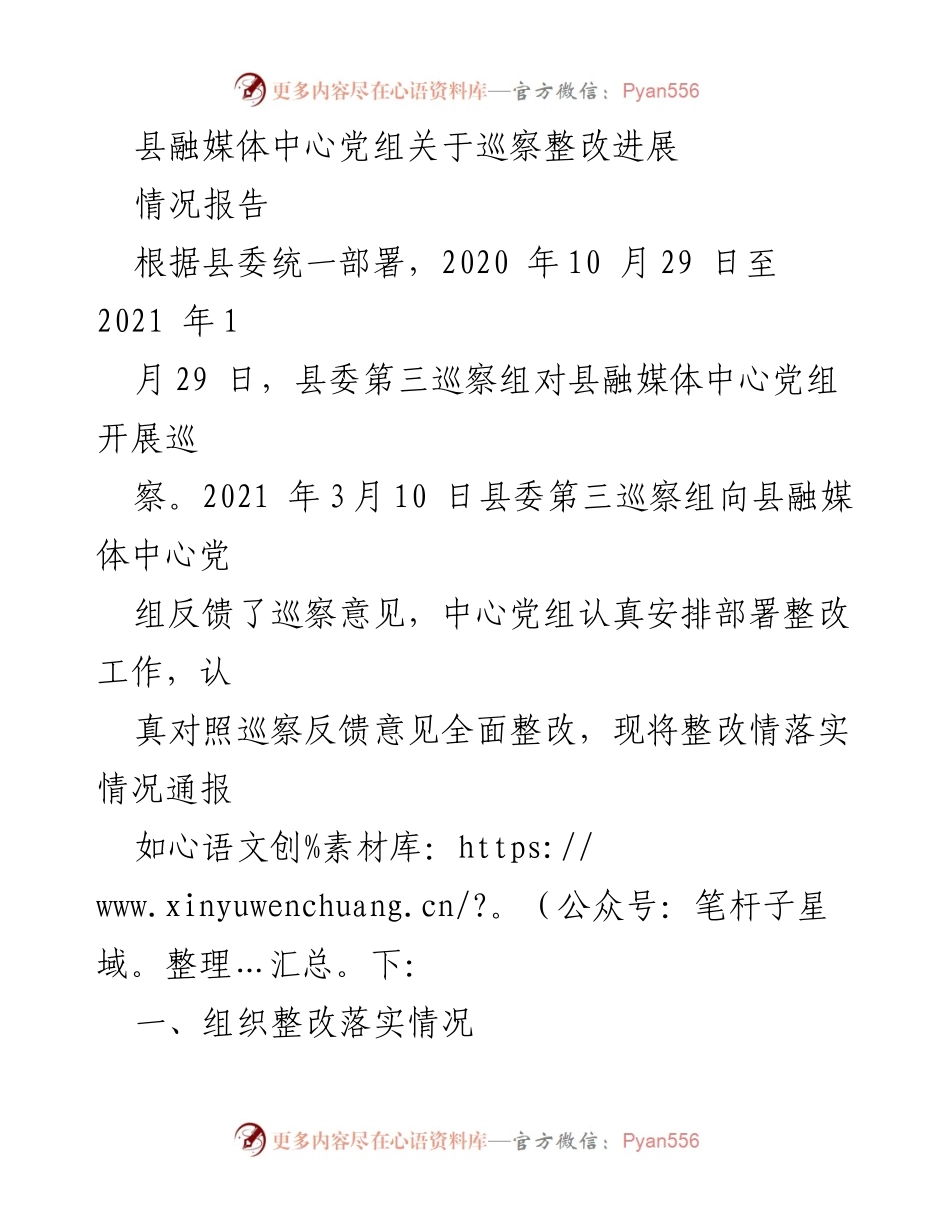 [工作总结] 巡察整改 - 县融媒体中心党组巡察整改进展情况报告.docx_第1页