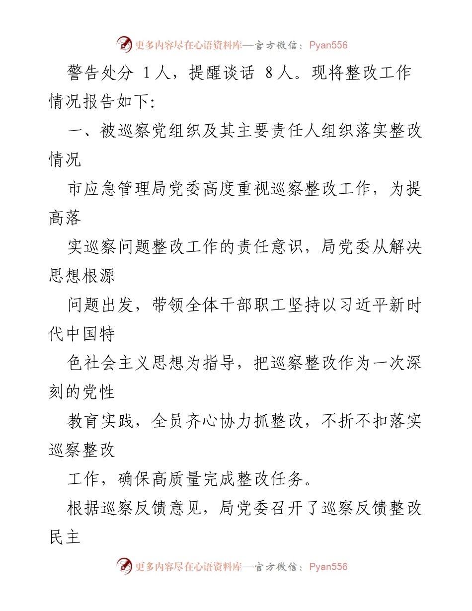 [工作总结] 巡察整改 - 市应急管理局安全生产巡察整改工作报告.docx_第2页