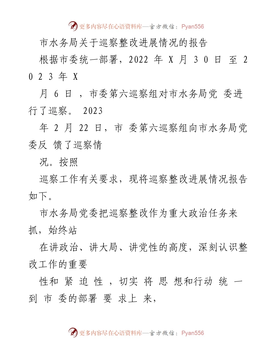[工作总结] 巡察整改 - 市水务局巡察整改进展情况报告.docx_第1页
